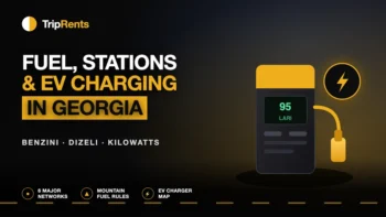Illustrated fuel pump and EV charging symbol on a dark TripRents cover for a guide to fuel and charging in Georgia