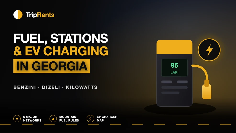 Illustrated fuel pump and EV charging symbol on a dark TripRents cover for a guide to fuel and charging in Georgia